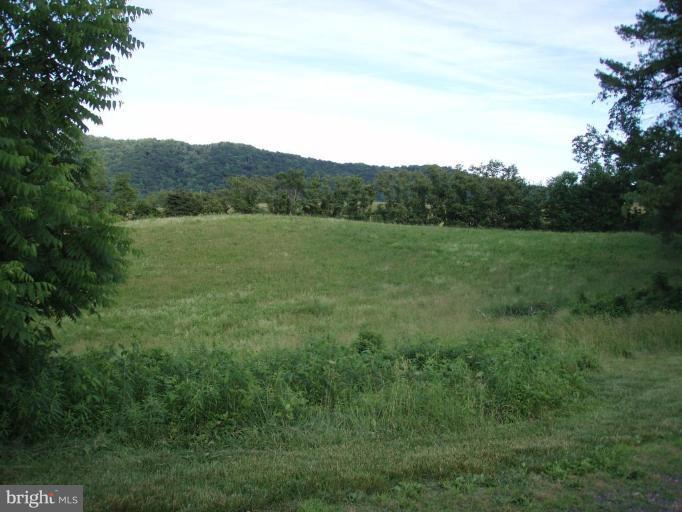 487 Rudasill Mill Road Woodville, VA 22749 - Photo 7 of 30 a view of a lush green forest with lots of trees