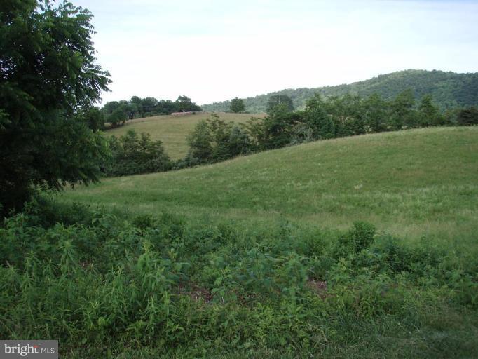 487 Rudasill Mill Road Woodville, VA 22749 - Photo 8 of 30 a view of a lush green forest with trees and some houses