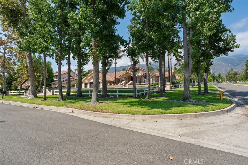 10588 Silver Spur Court Rancho Cucamonga, CA 91737 - Photo 5 of 63 front view of a house with a big yard and palm trees