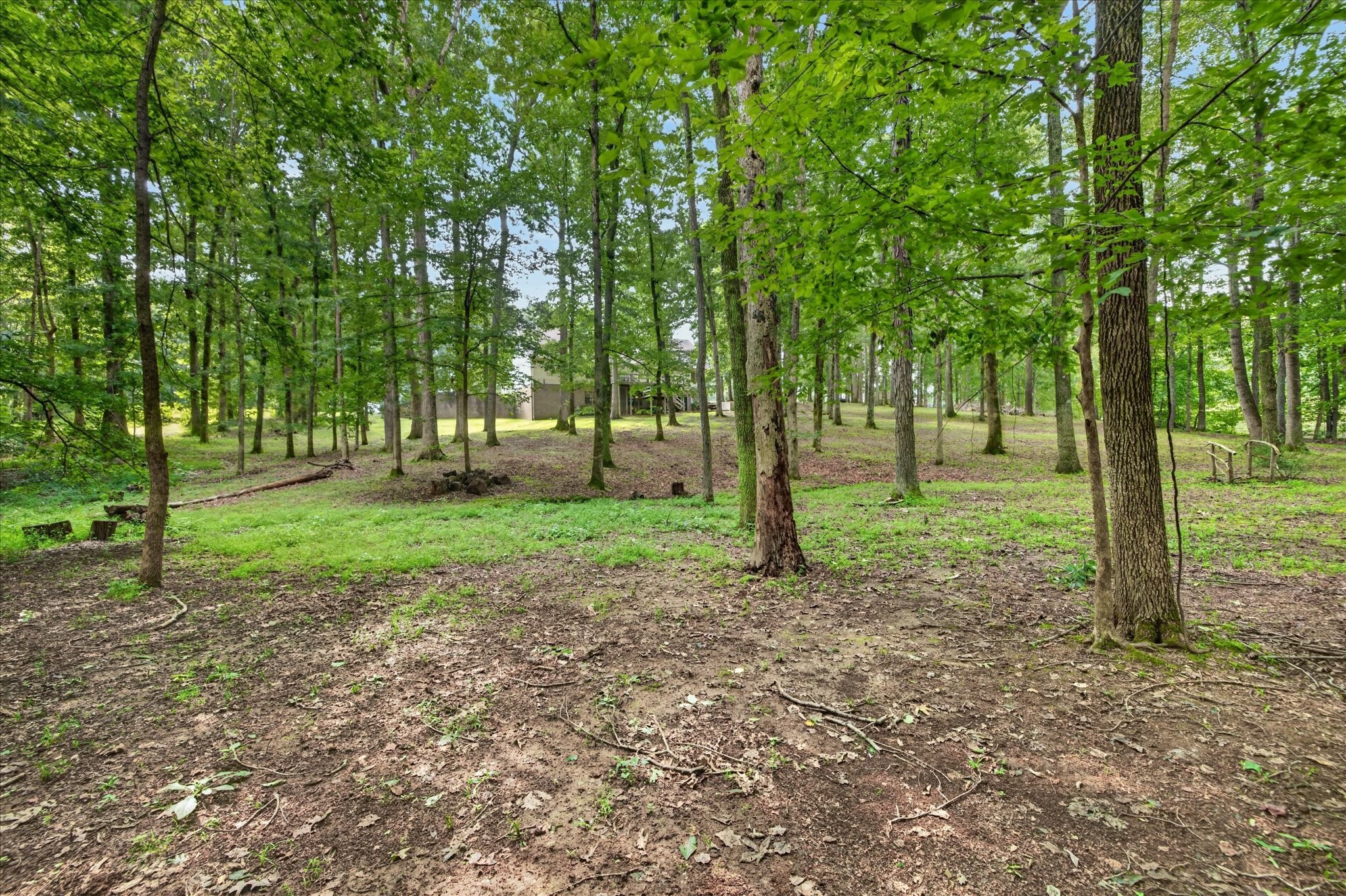 175 Castleton Cove Paris, TN 38242 - Photo 47 of 52 Gallery Image 47