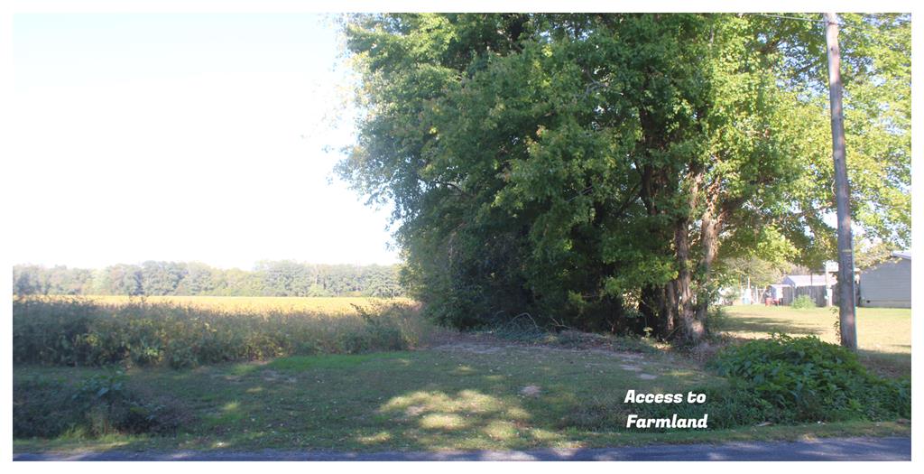 Lot 130 Matthews Road, Unit 130 Parksley, VA 23421 - Photo 3 of 15