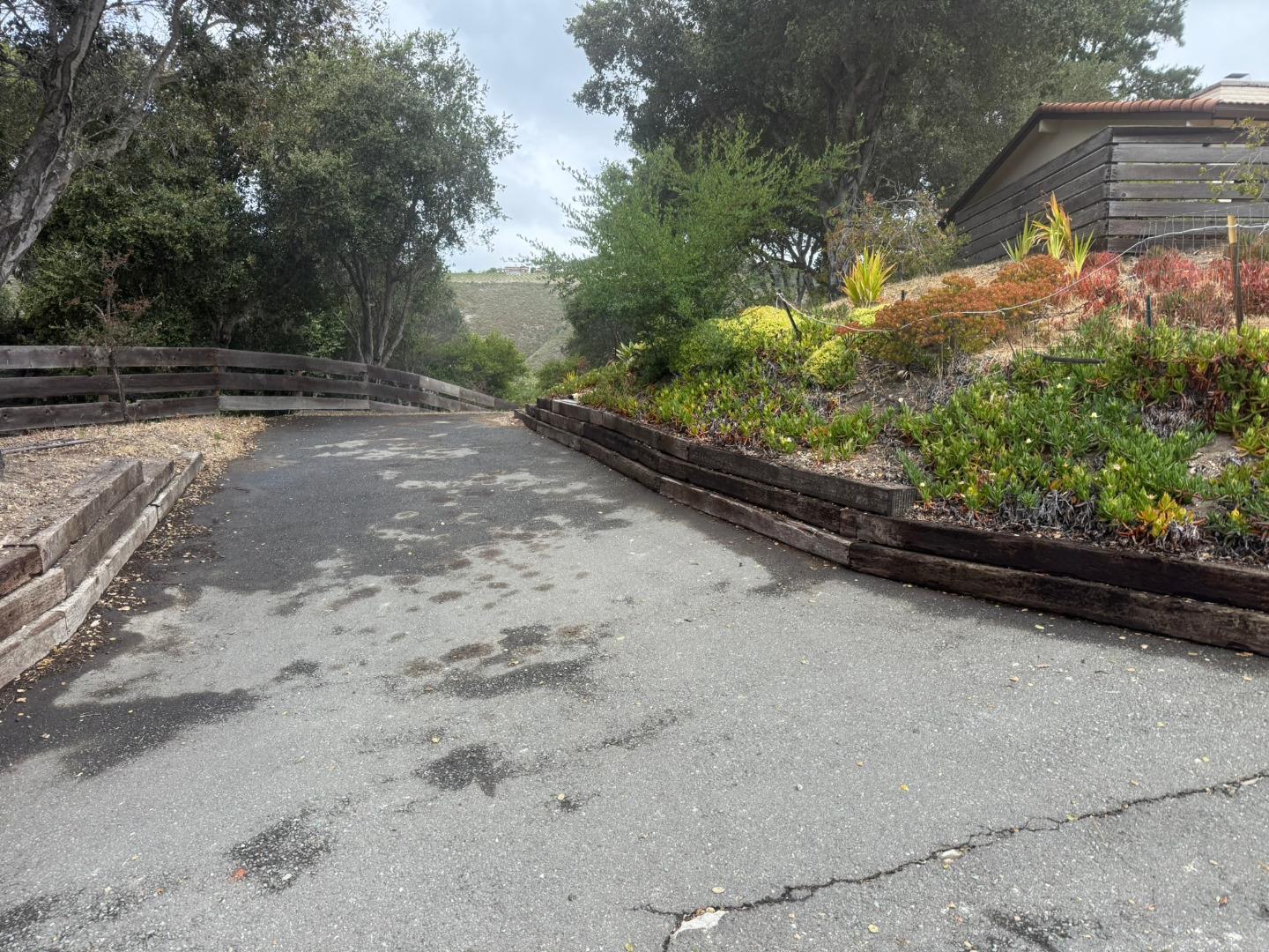 11585 McCarthy Road Carmel Valley, CA 93924 - Photo 51 of 52 a view of a yard with potted plants