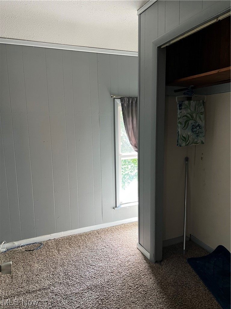 399 Furnace Road Conneaut, OH 44030 - Photo 28 of 29 Spare room with carpet floors