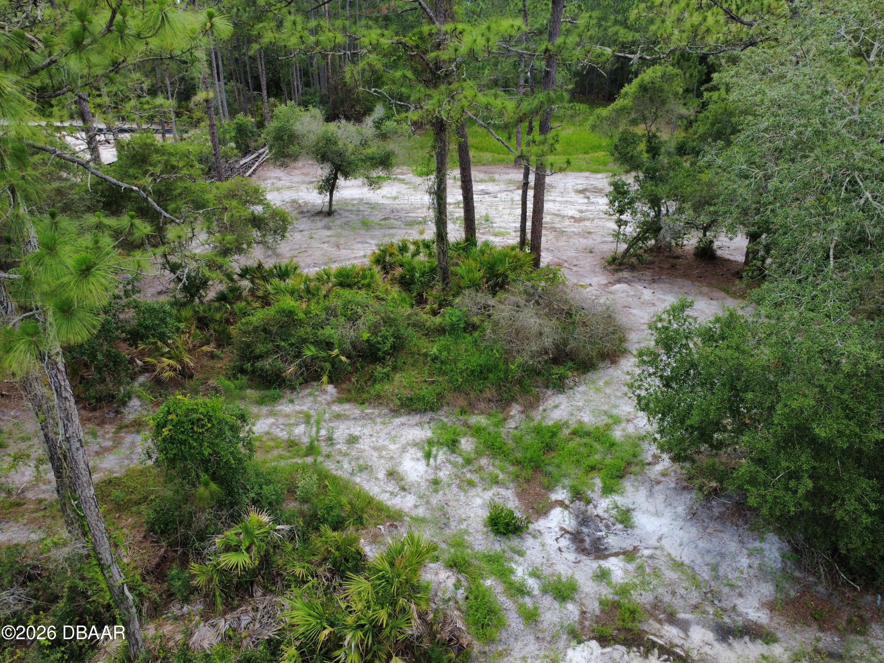 0 Royal Trails Road Eustis, FL 32736 - Photo 9 of 12 dji_fly_20260612_150322_234_178129123258