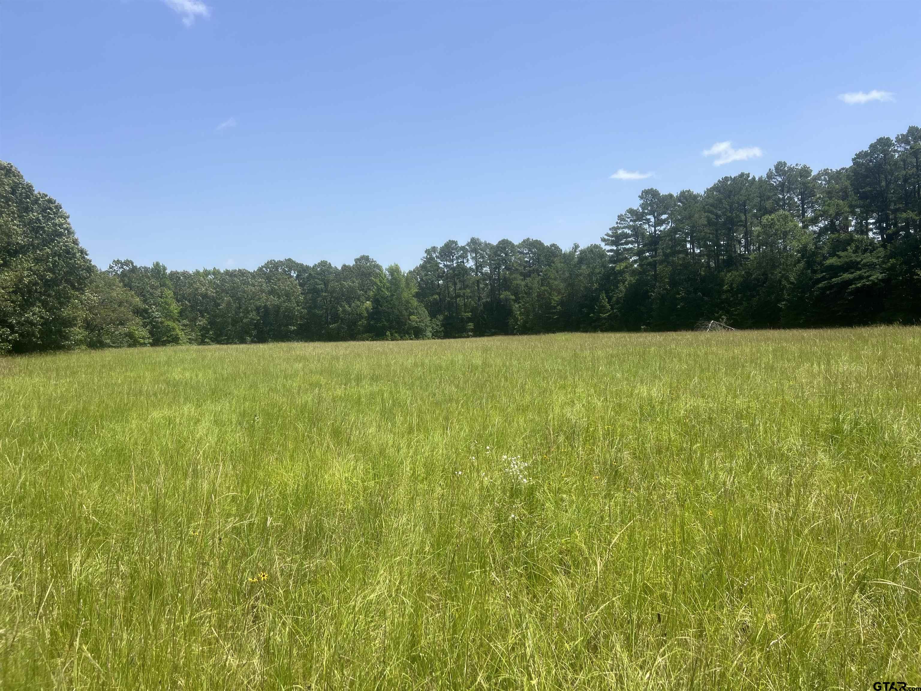 44400-2 Powderly Tx 75473 Powderly, TX 75473 - Photo 2 of 7