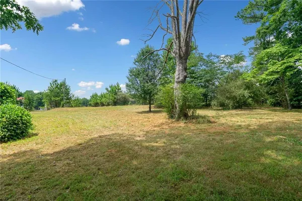a view of a yard with a tree
