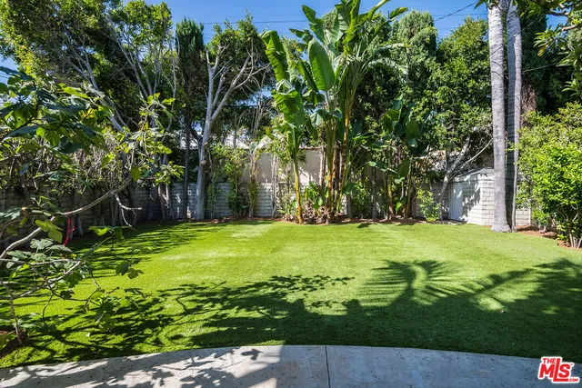 a view of a backyard with large trees