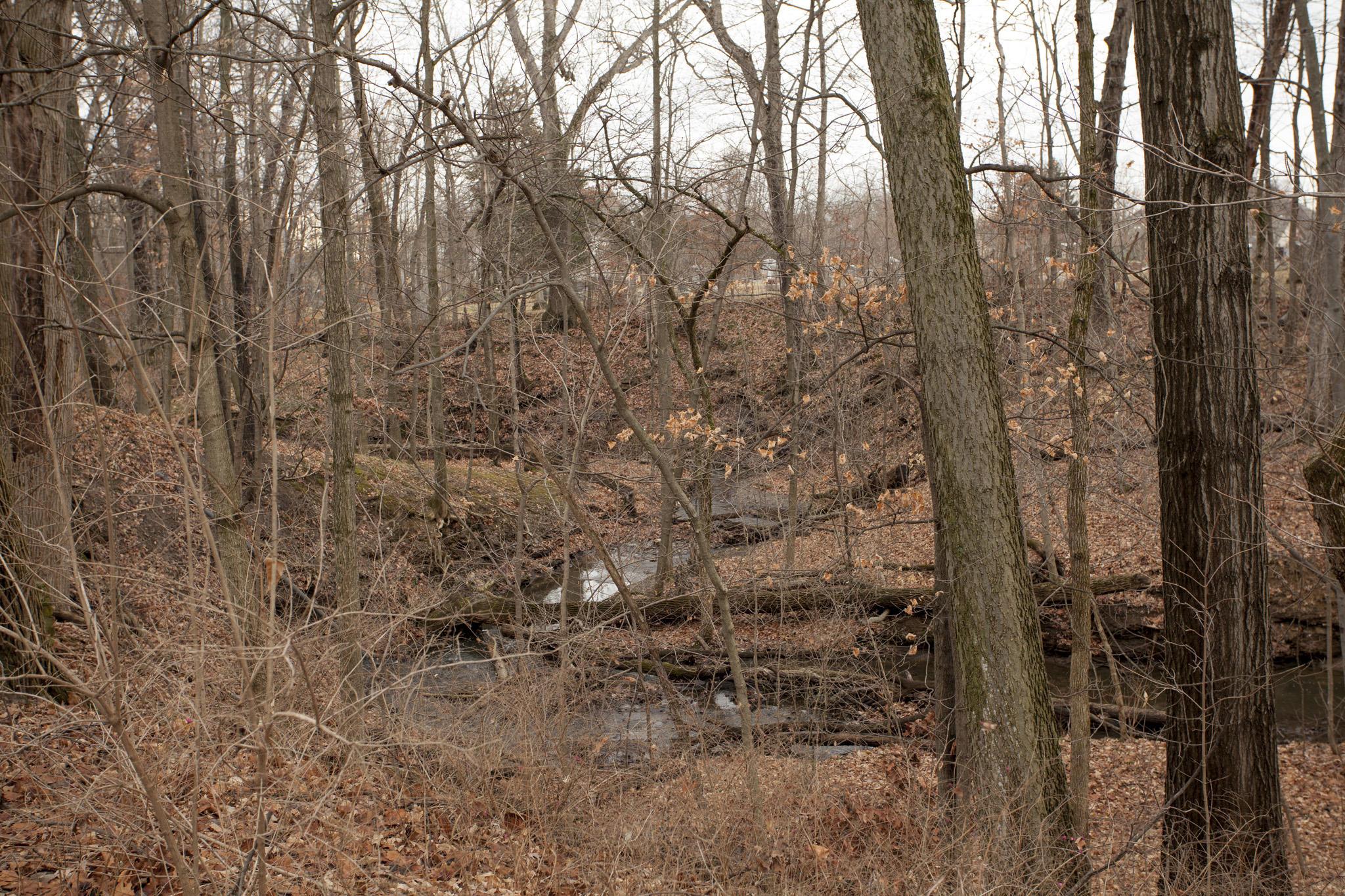 8221 Flint Road Columbus, OH 43235 - Photo 10 of 15