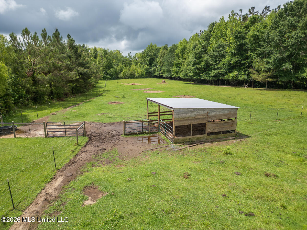 1529 Lower Milligan Springs Road Kilmichael, MS 39747 - Photo 29 of 46 DJI_0009