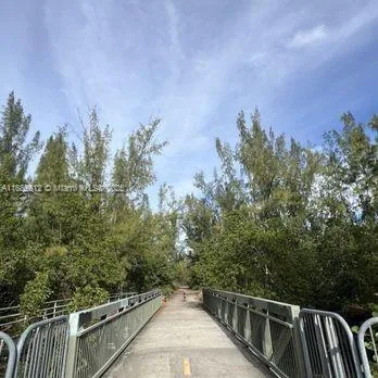 a view of a yard with plants and large trees