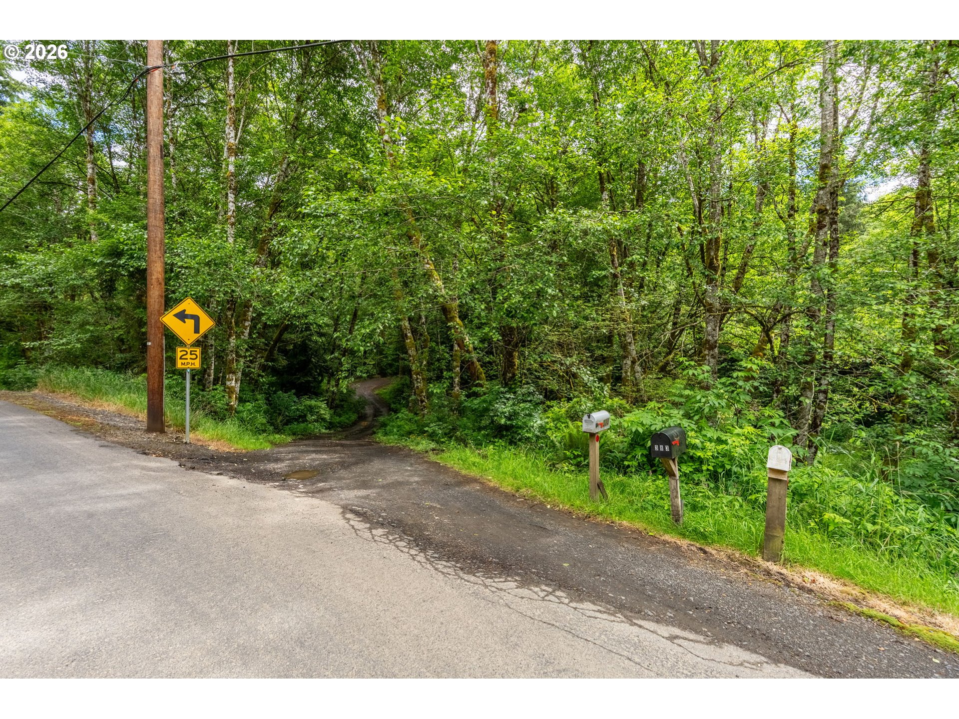 355 Ragland Road Longview, WA 98632 - Photo 3 of 32