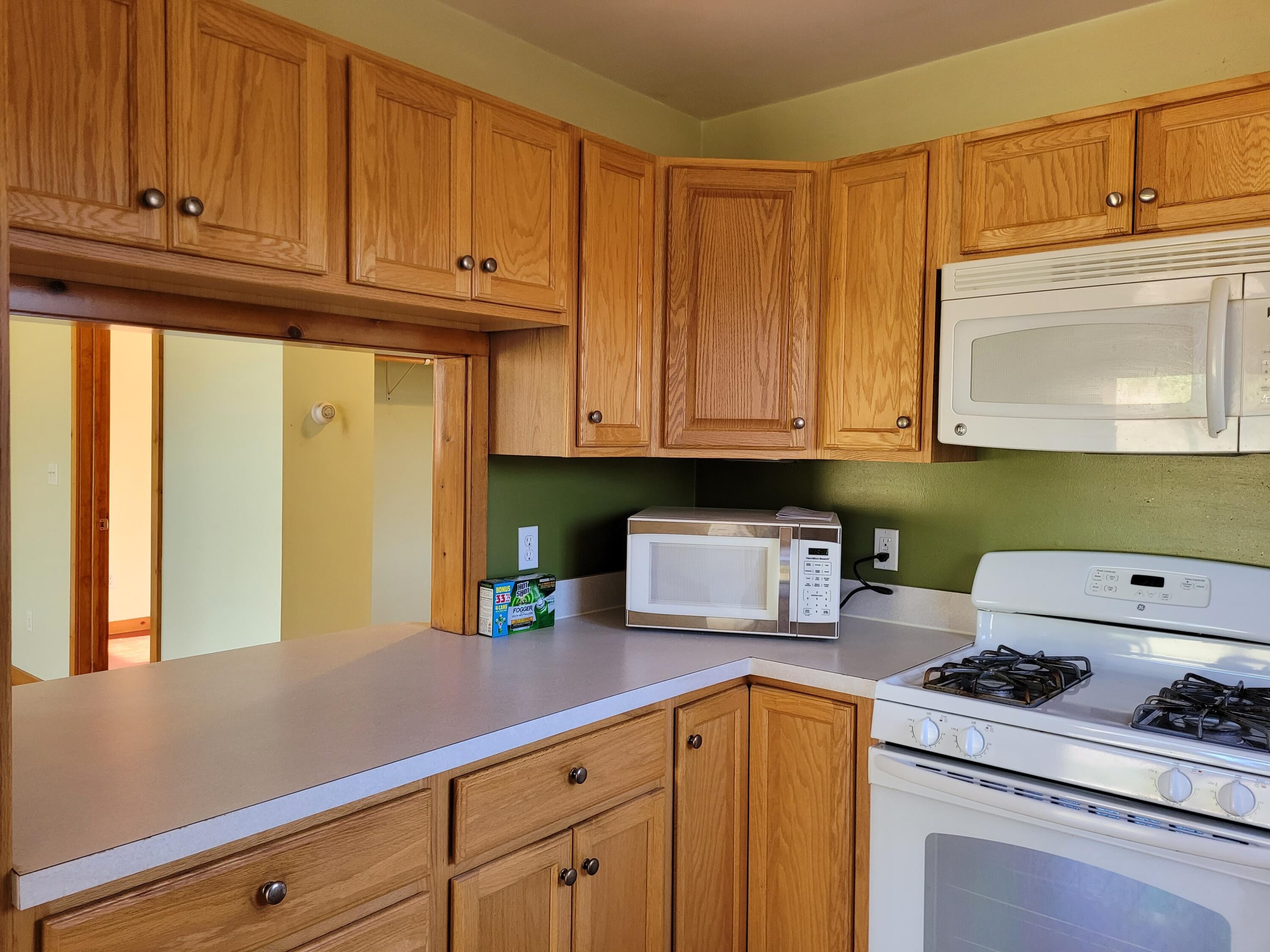 10446 Parke Road Alanson, MI 49706 - Photo 13 of 40 Gallery Image 13