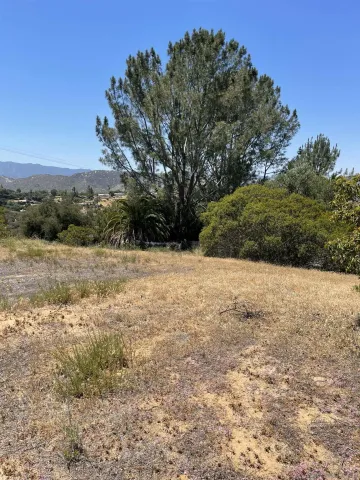 a view of lake and houses