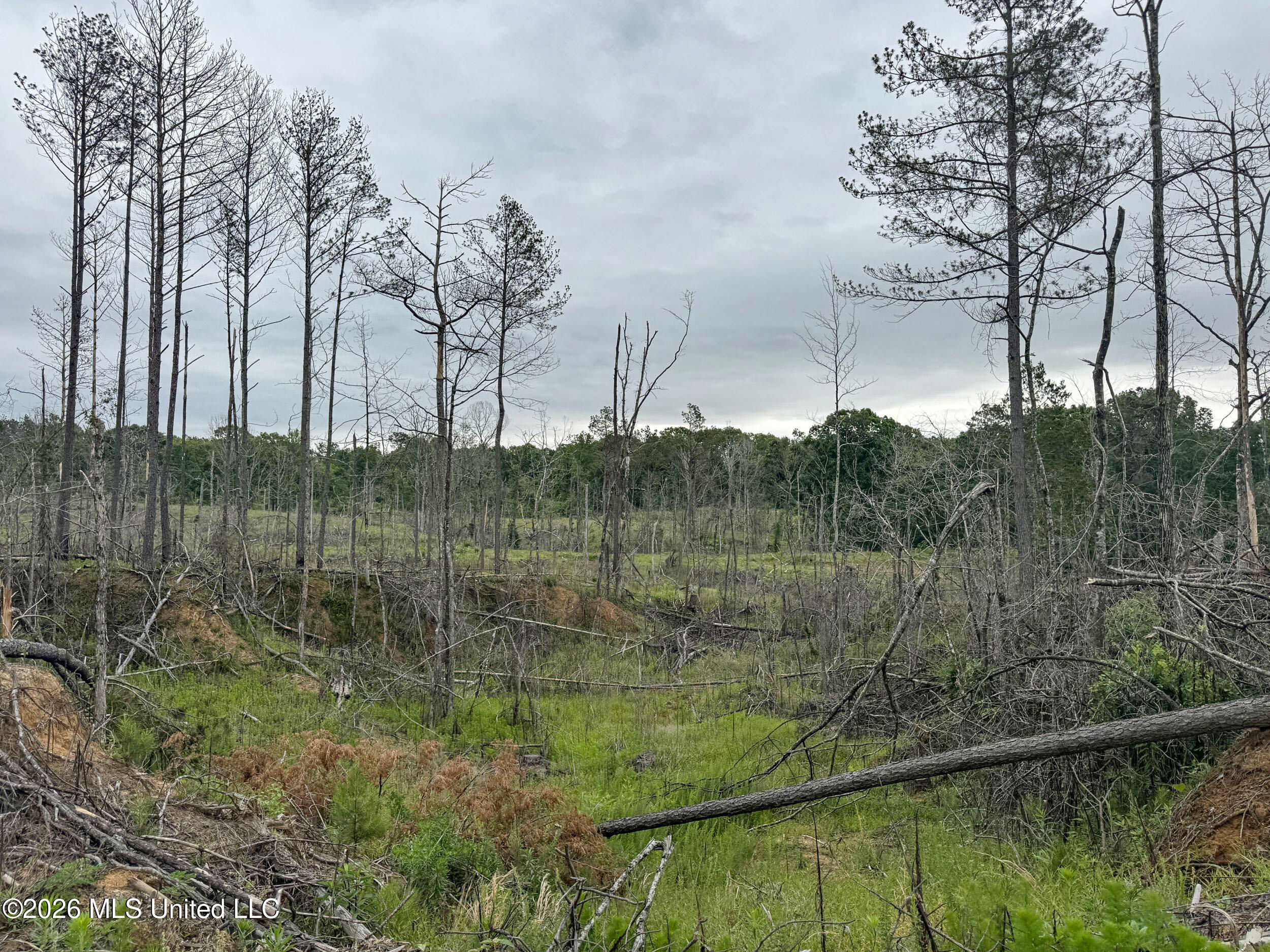 Wayne Massie Road Como, MS 38619 - Photo 157 of 184 5cdtbs103