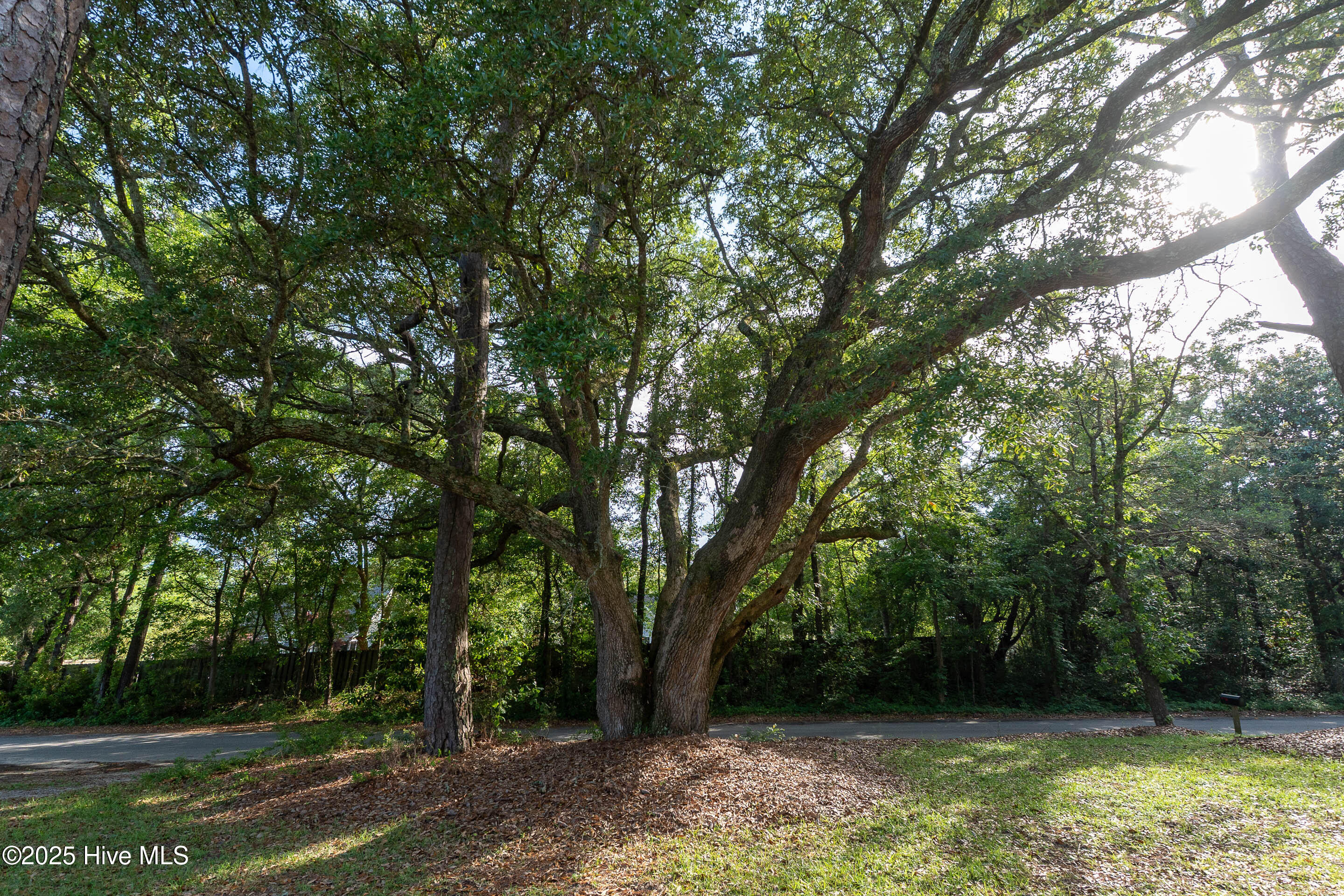 111 Cole Drive Hampstead, NC 28443 - Photo 21 of 26 111 Cole Dr MLS-9