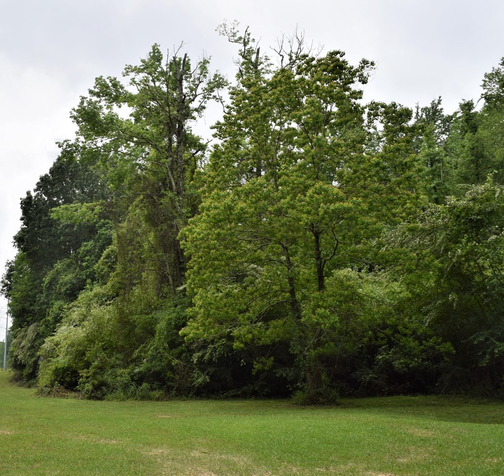 3041 Brandi Road Summit, MS 39666 - Photo 4 of 16 Photo 4