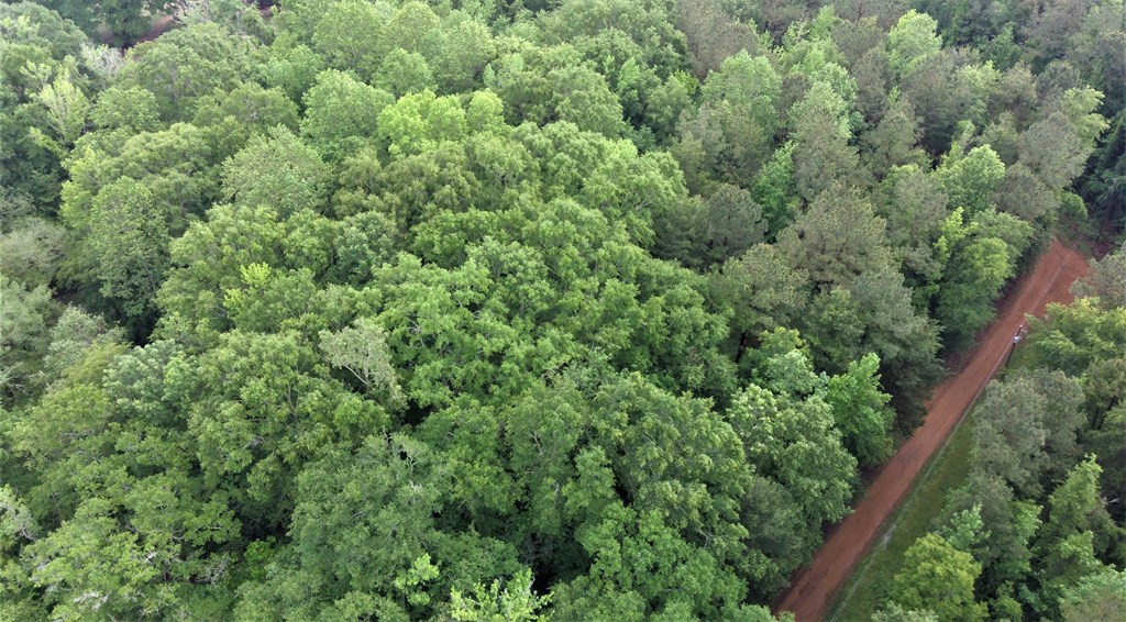 3041 Brandi Road Summit, MS 39666 - Photo 8 of 16 Photo 8