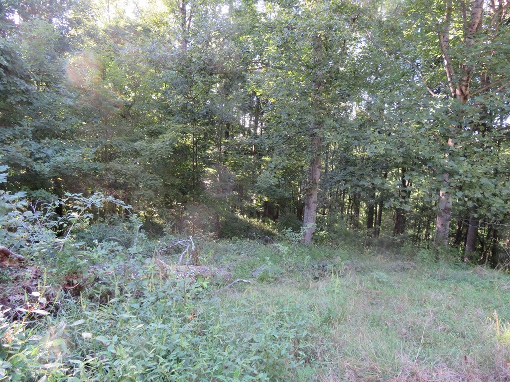 5156 Chicken Rdg Road Jewell Ridge, VA 24622 - Photo 15 of 21 Gallery Image 15