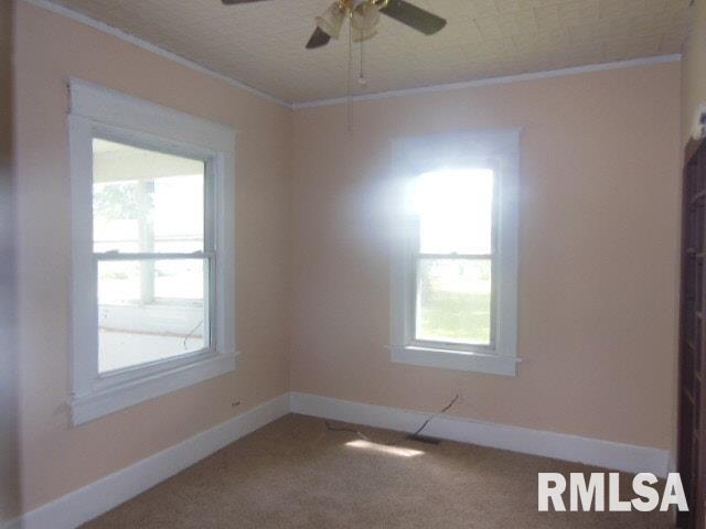 326 Fair Flora, IL 62839 - Photo 6 of 21 Gallery Image 6