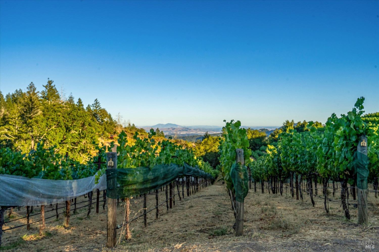 2340 Mt Veeder Road Napa, CA 94558 - Photo 17 of 38