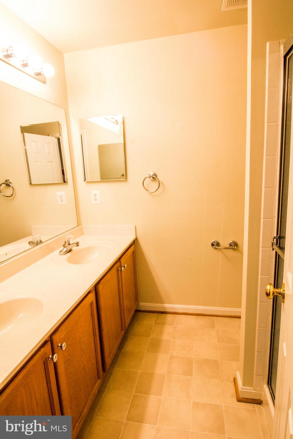 20858 Rockingham Terrace Sterling, VA 20165 - Photo 12 of 20 Bath (Master)