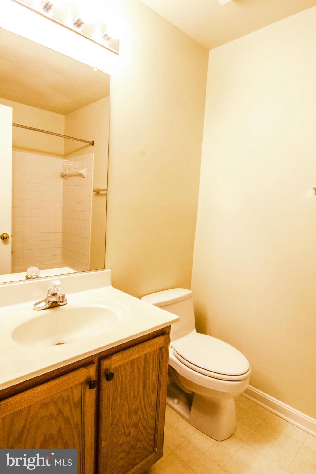 20858 Rockingham Terrace Sterling, VA 20165 - Photo 15 of 20 Bath