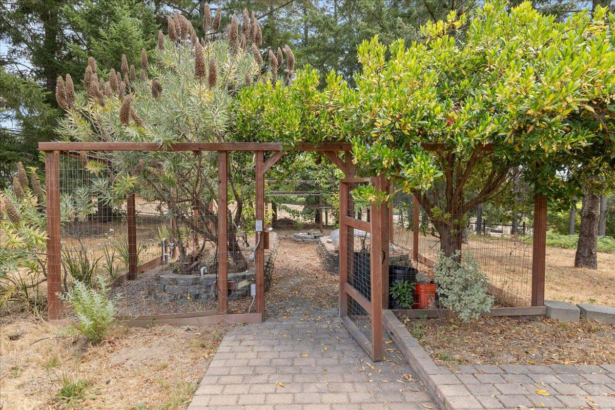 23435 Summit Road Los Gatos, CA 95033 - Photo 67 of 86 a backyard of a house with lots of plants and large trees
