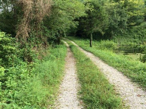 9999 Radford Hollow Road Berea, KY 40403 - Photo 17 of 17 Photo 17
