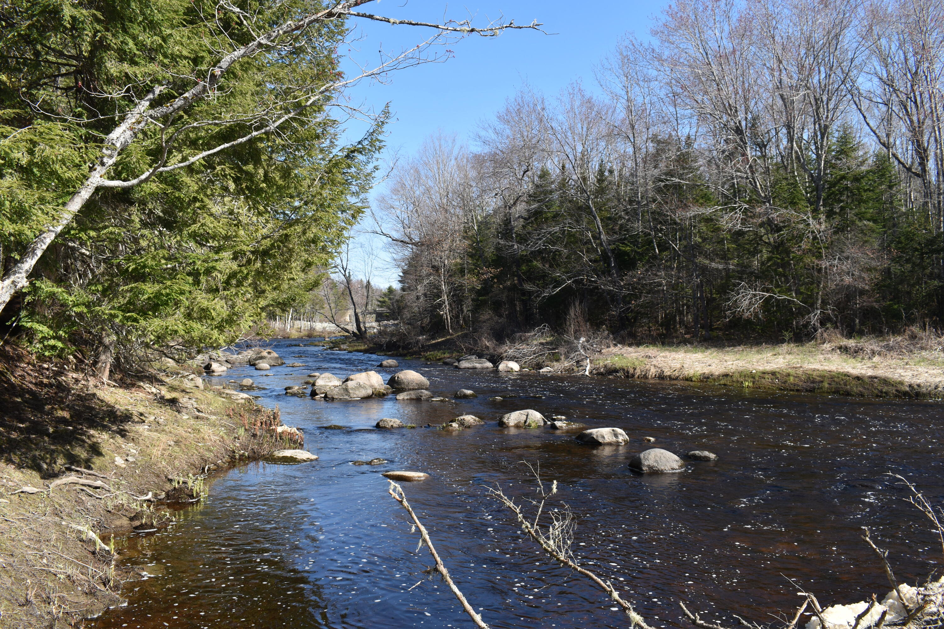 15 Loop Road Lincoln, ME 04457 - Photo 40 of 51 DSC_0126