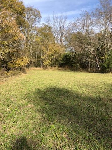 0 Bugscuffle Road Wartrace, TN 37183 - Photo 2 of 4 a view of beach and small space