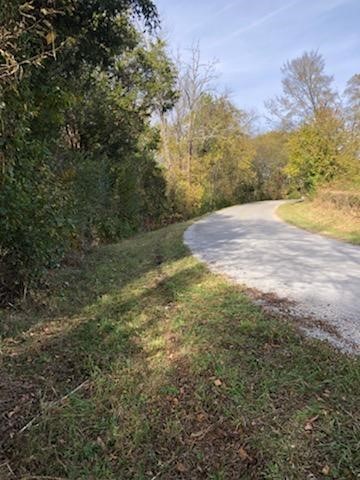 0 Bugscuffle Road Wartrace, TN 37183 - Photo 3 of 4 a view of a yard with an outdoor space