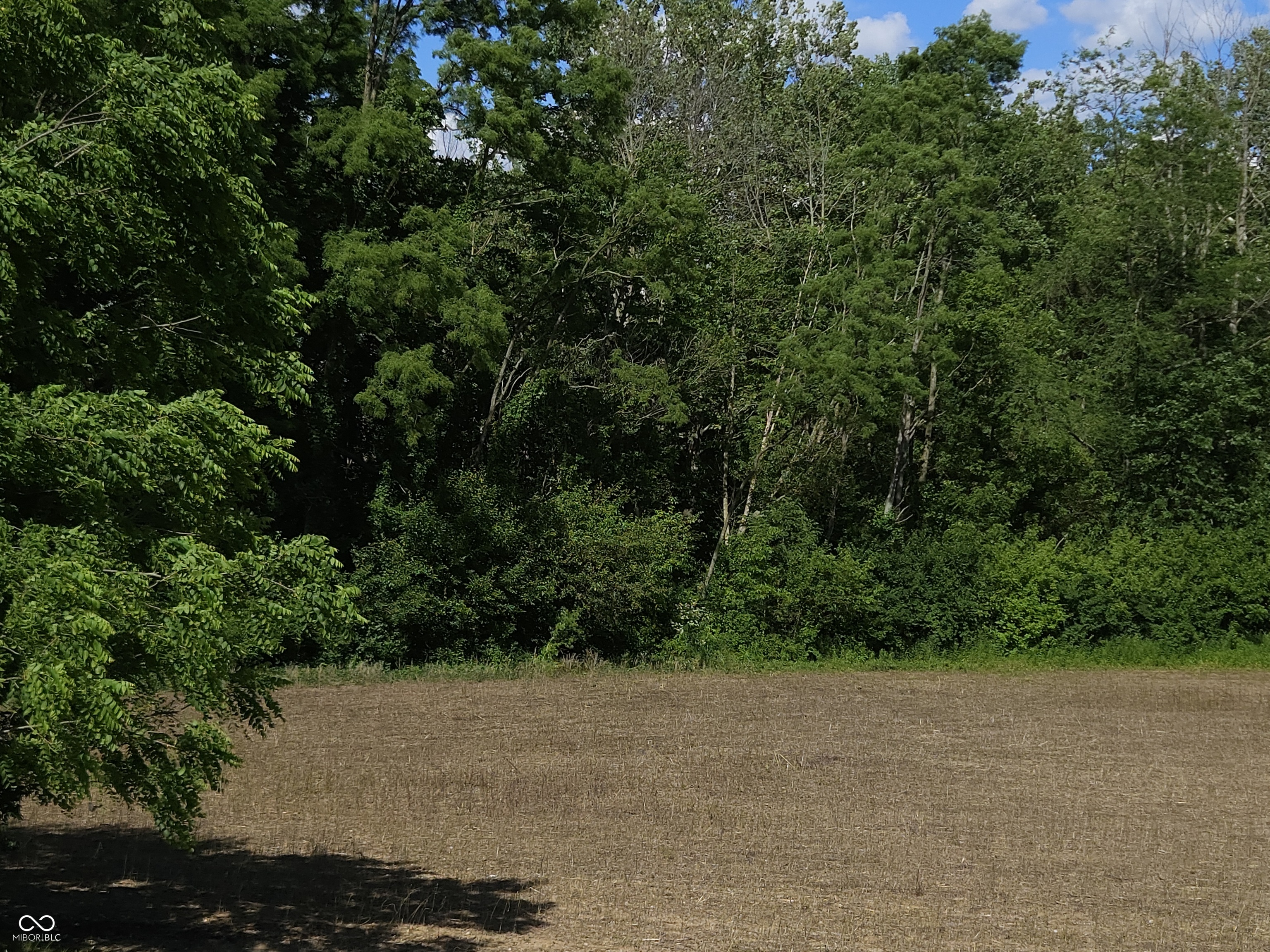 6566 Old State Road 421 Waldron, IN 46182 - Photo 35 of 49