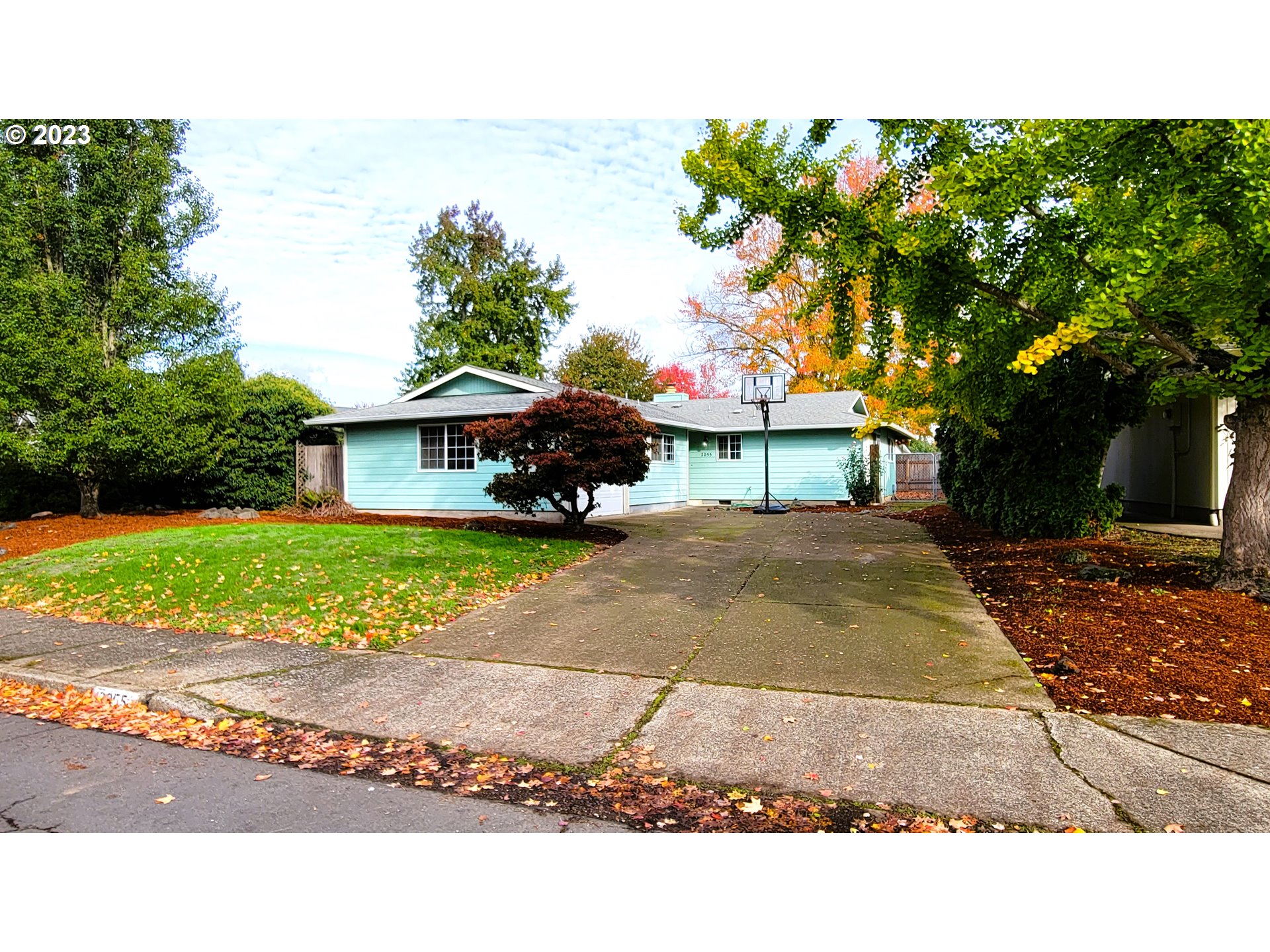a view of house with a yard and potted plants