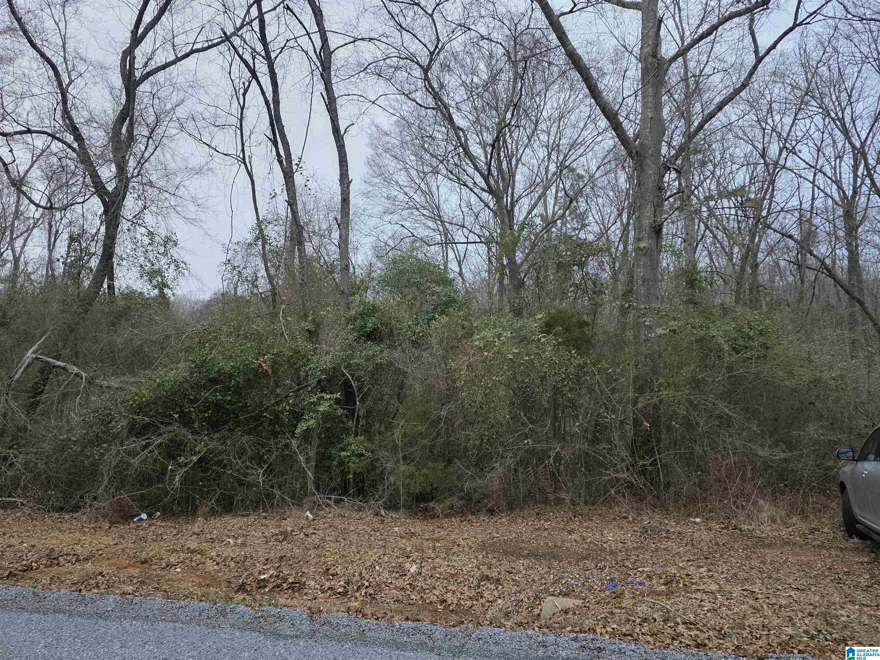 322 Tucker Road Talladega, AL 35160 - Photo 20 of 21