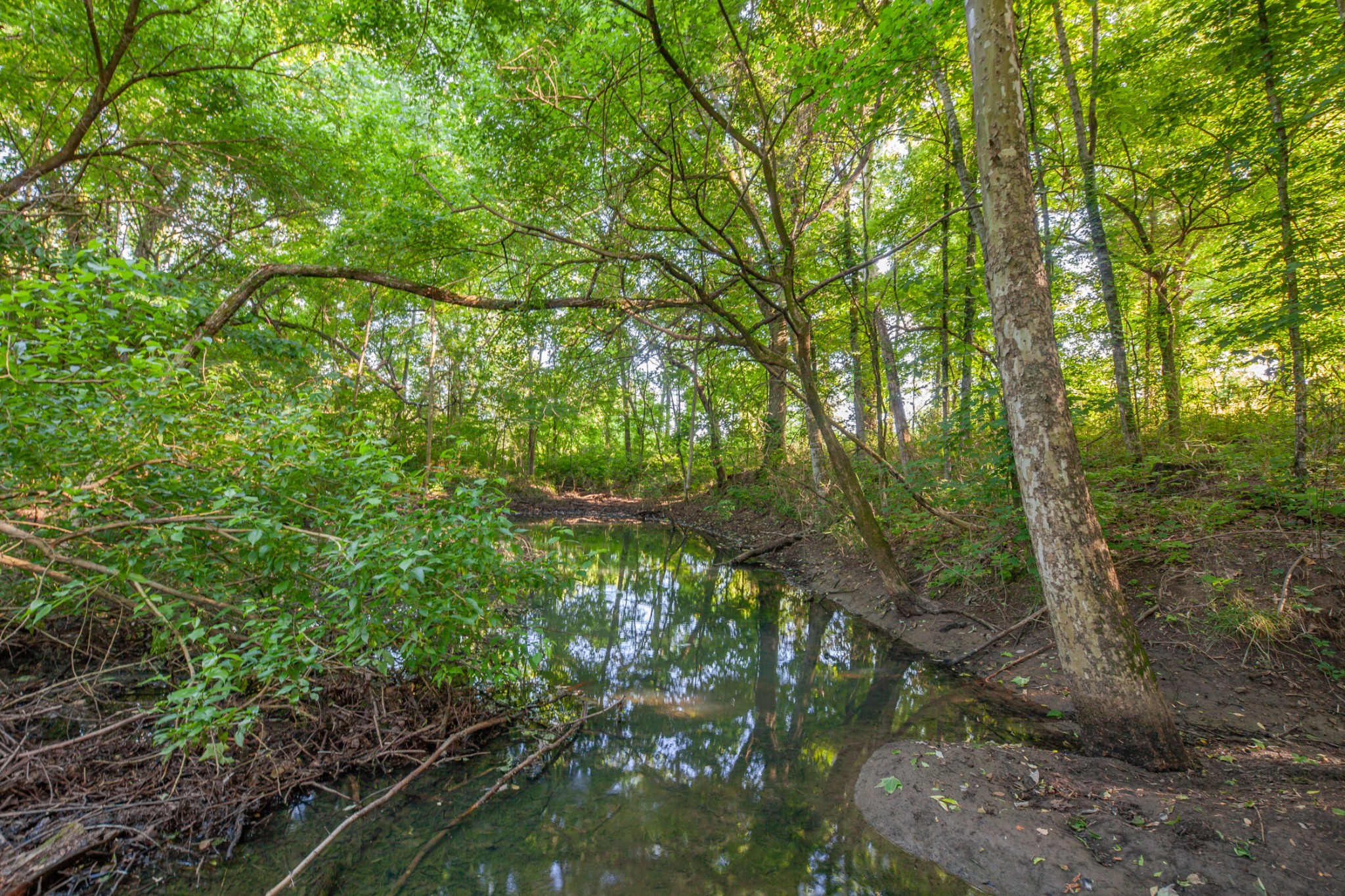 304 Fuss Hollow Road Petersburg, TN 37144 - Photo 11 of 38 Gallery Image 11