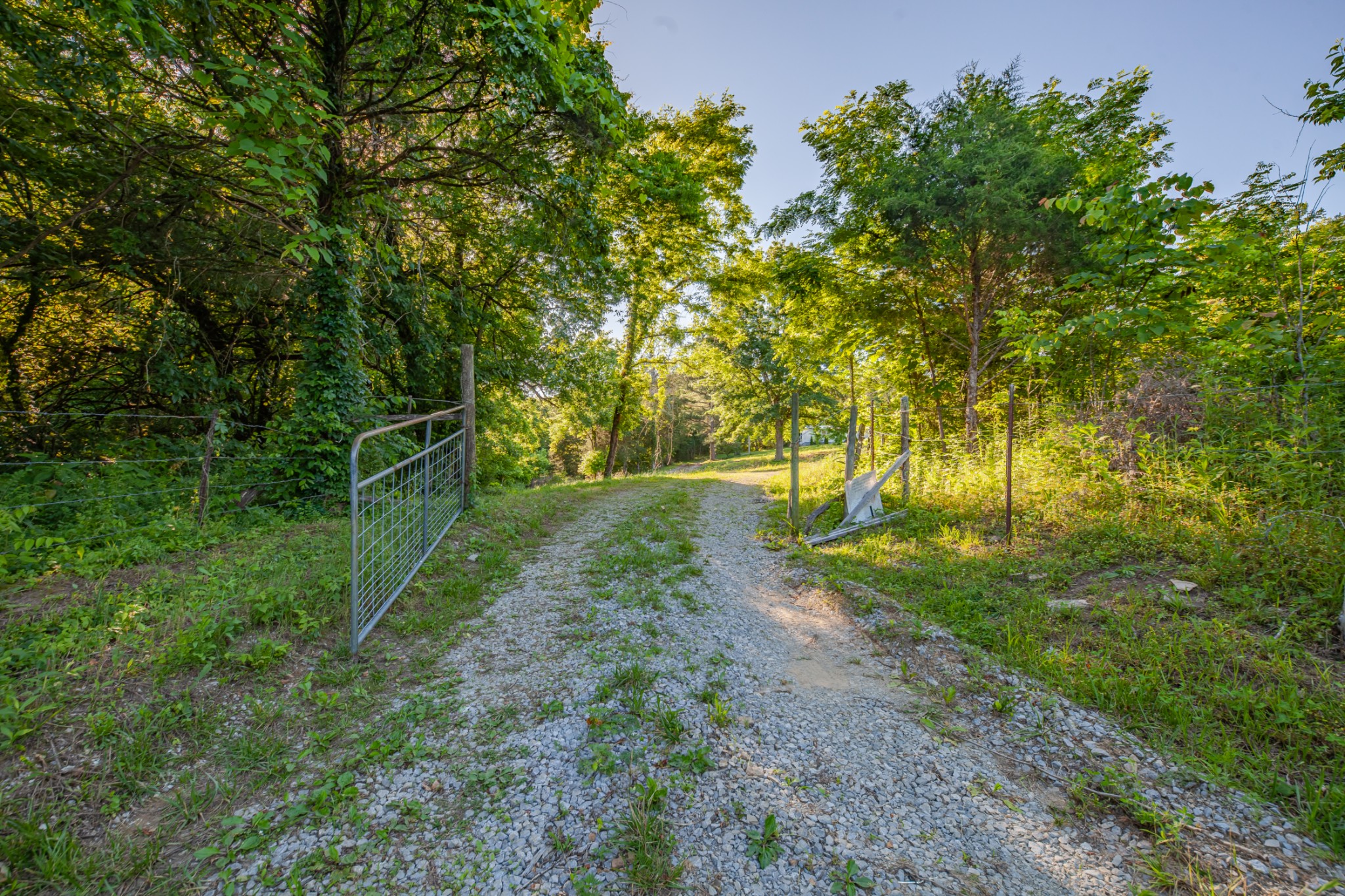 304 Fuss Hollow Road Petersburg, TN 37144 - Photo 13 of 38 Gallery Image 13
