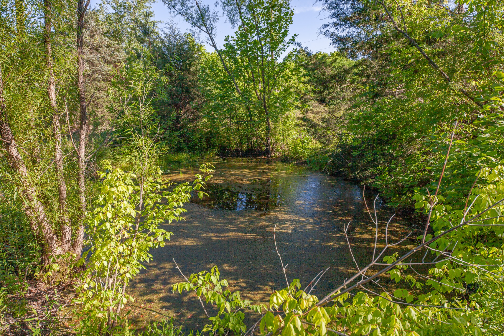 304 Fuss Hollow Road Petersburg, TN 37144 - Photo 14 of 38 Gallery Image 14