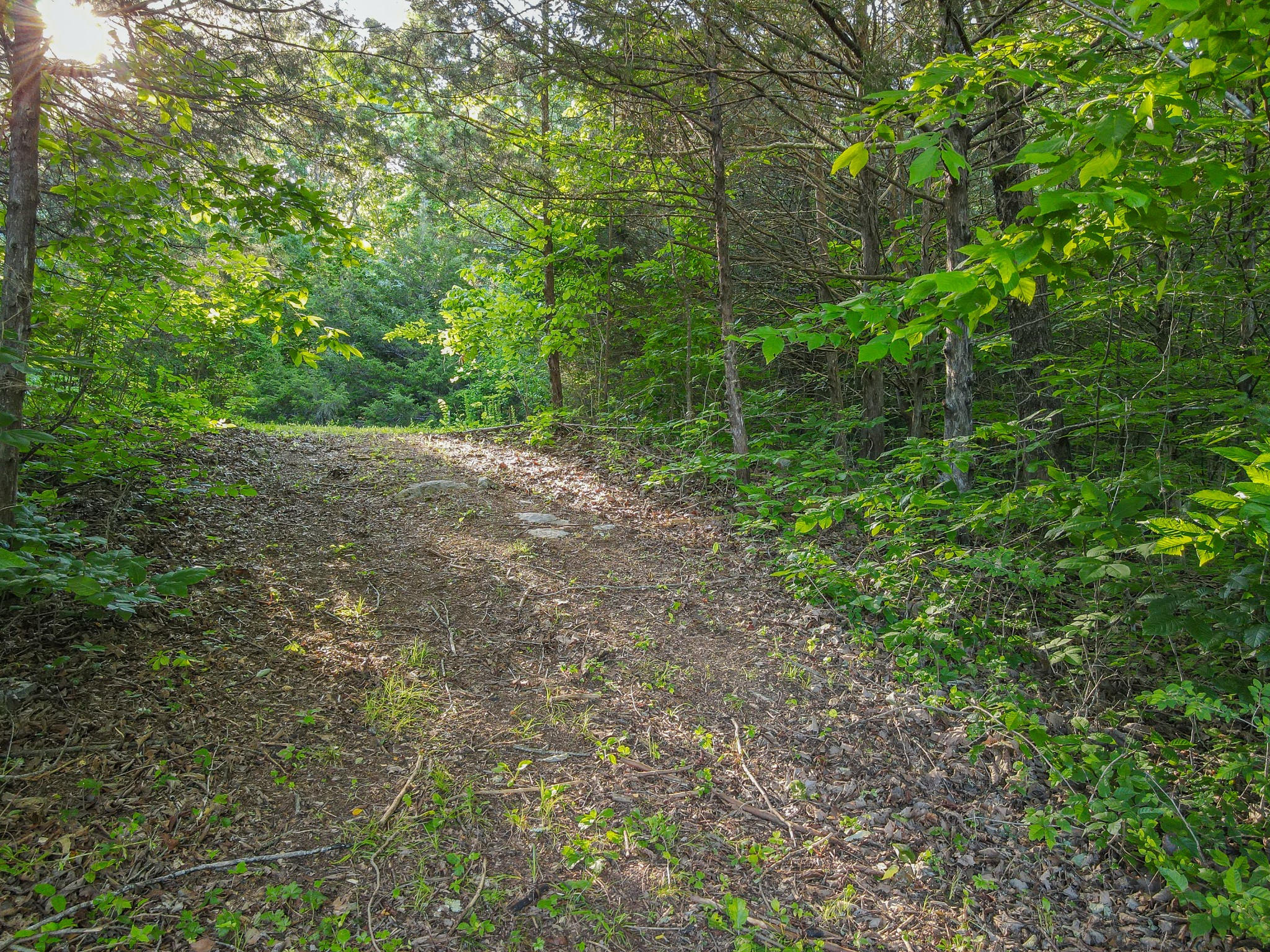 304 Fuss Hollow Road Petersburg, TN 37144 - Photo 28 of 38 Gallery Image 28
