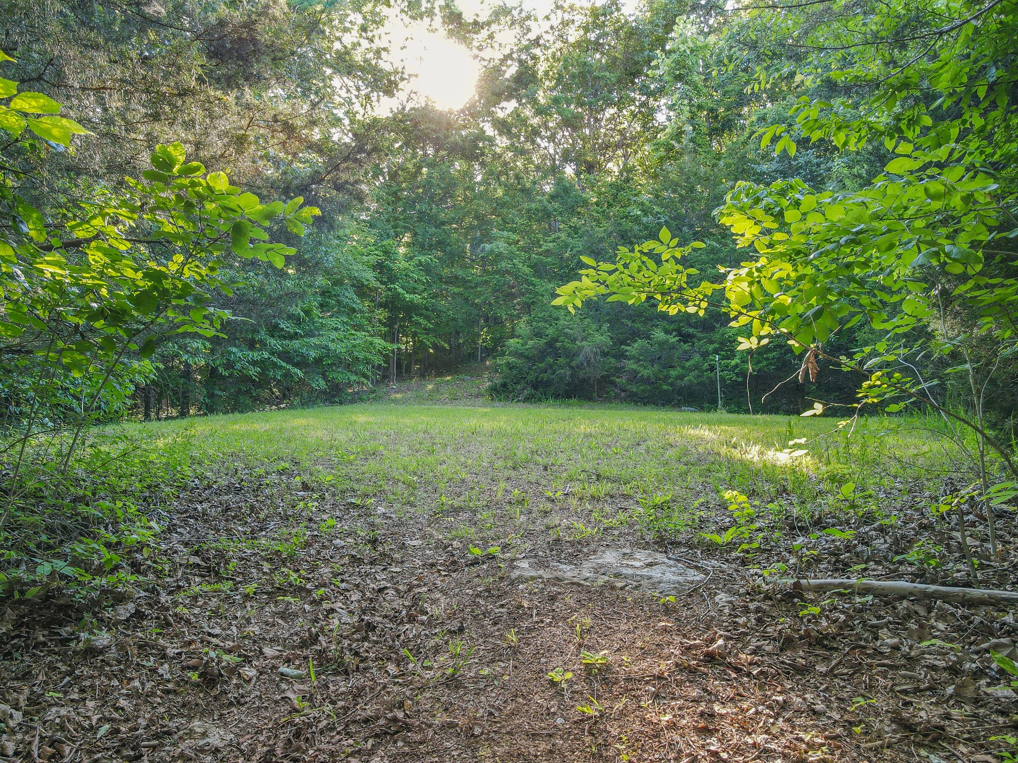 304 Fuss Hollow Road Petersburg, TN 37144 - Photo 29 of 38 Gallery Image 29