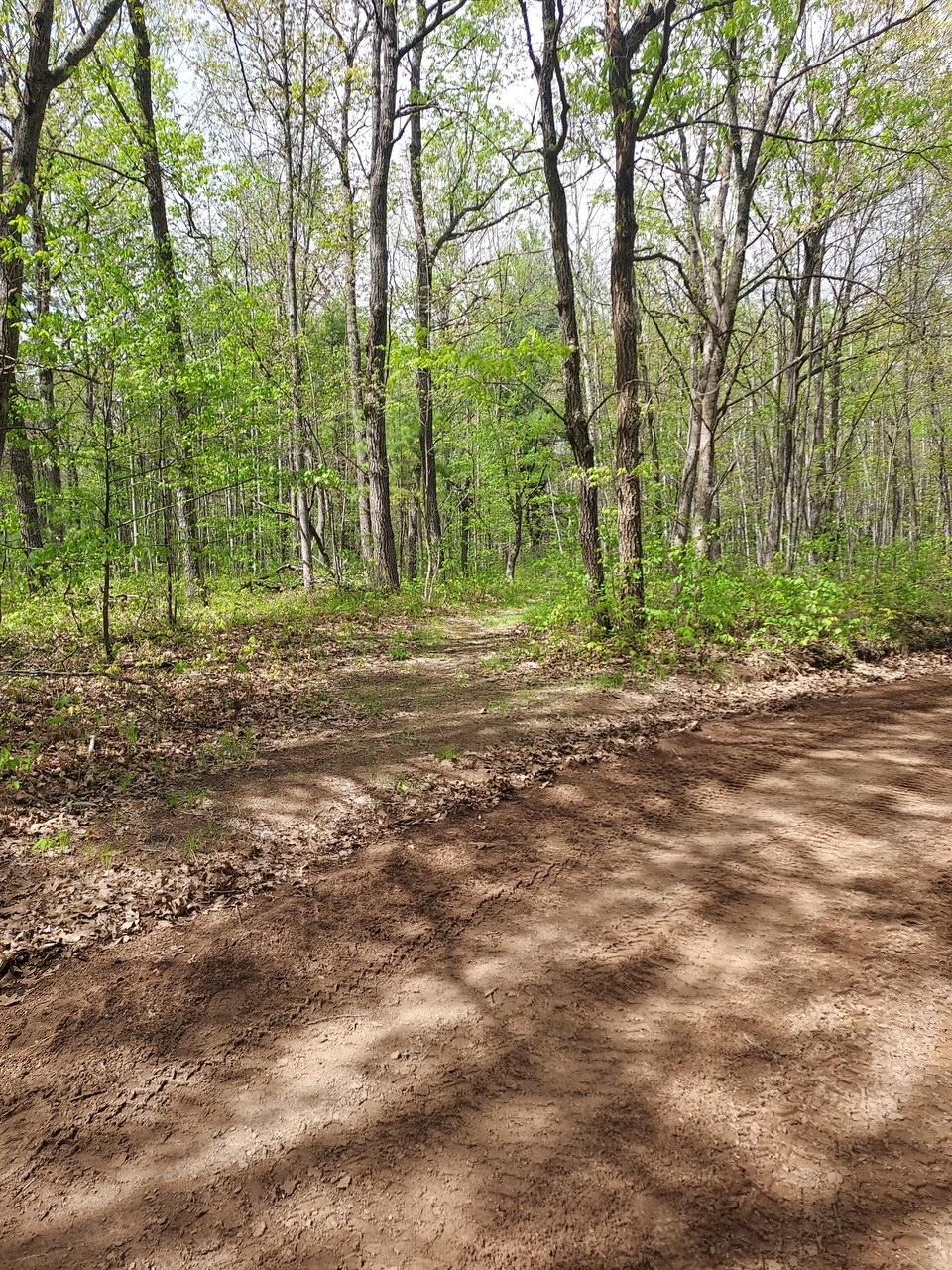 64100 East Ruth Lake Road Iron River, WI 54847 - Photo 13 of 16