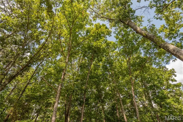 $384,900 | 243 Big Pine Road, Doniphan, MO 63935