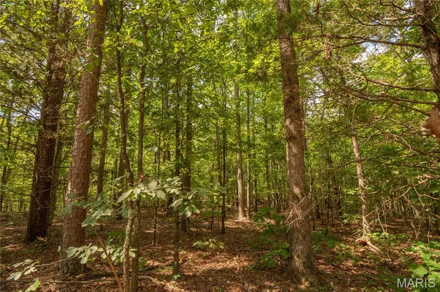 $384,900 | 243 Big Pine Road, Doniphan, MO 63935