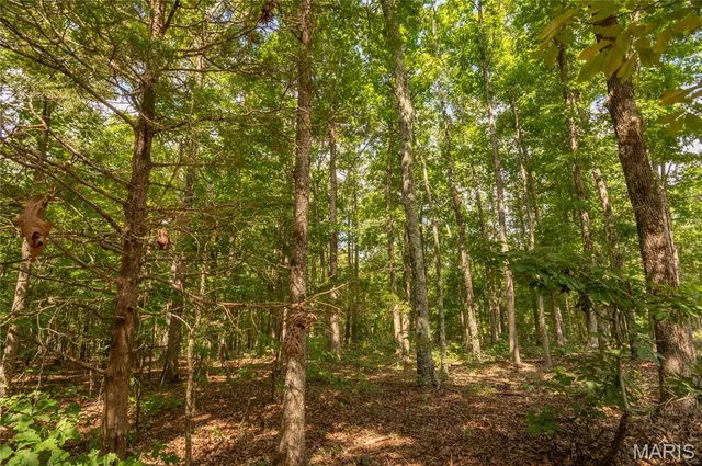 $384,900 | 243 Big Pine Road, Doniphan, MO 63935