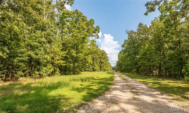 $384,900 | 243 Big Pine Road, Doniphan, MO 63935