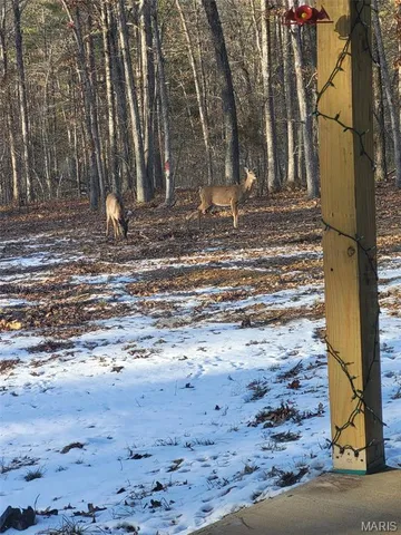 $384,900 | 243 Big Pine Road, Doniphan, MO 63935