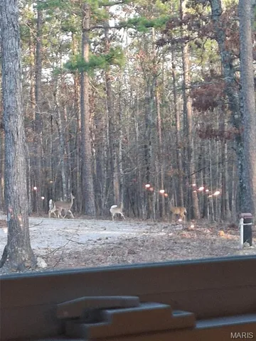 $384,900 | 243 Big Pine Road, Doniphan, MO 63935