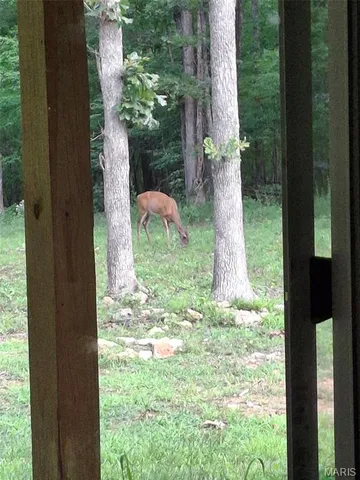 $384,900 | 243 Big Pine Road, Doniphan, MO 63935