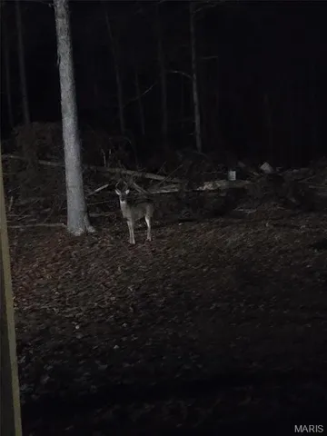 $384,900 | 243 Big Pine Road, Doniphan, MO 63935