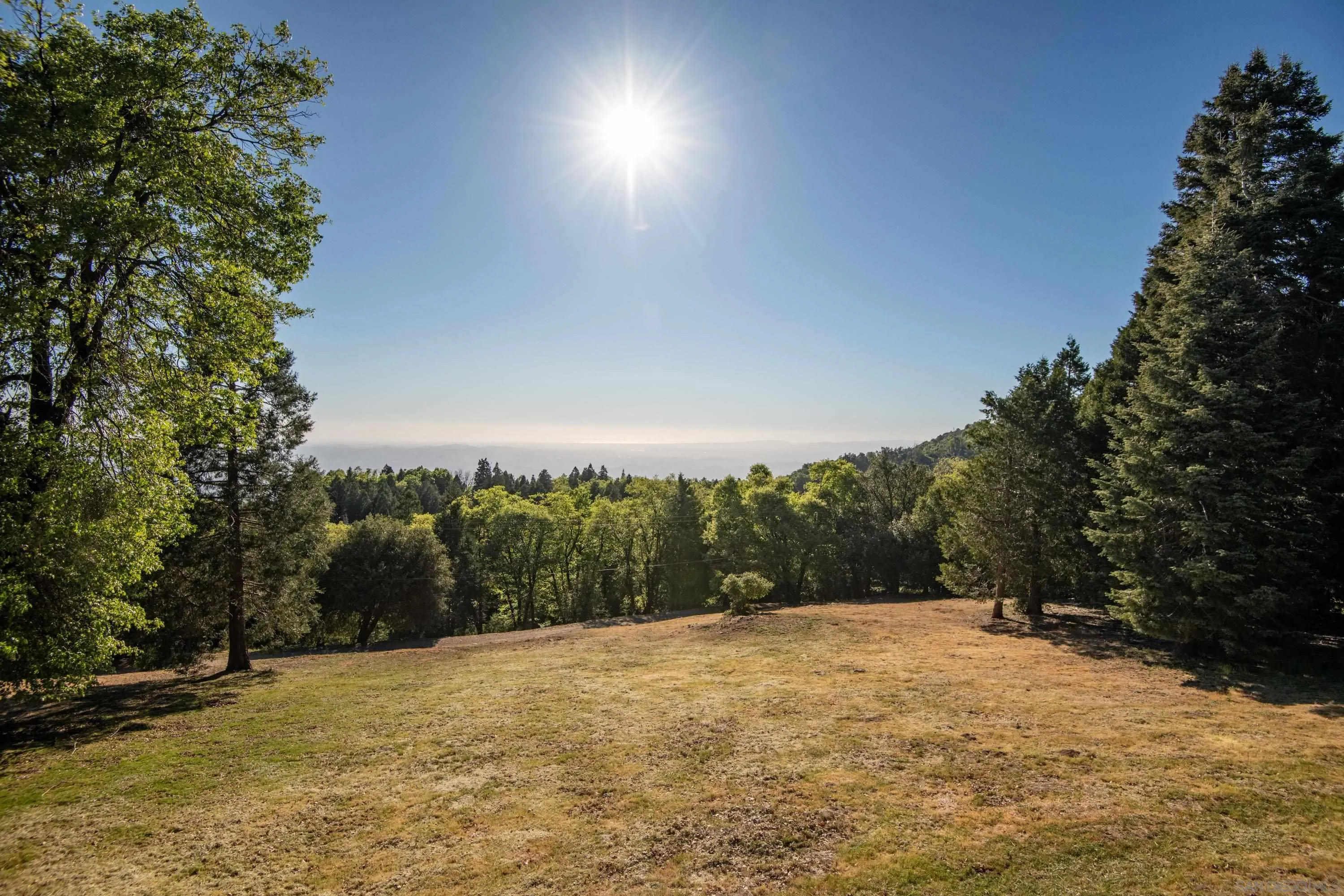 3413 Fern Meadow Road Palomar Mountain, CA 92060 - Photo 27 of 38 a view of outdoor space and yard