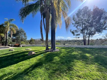 a view of a park with palm trees